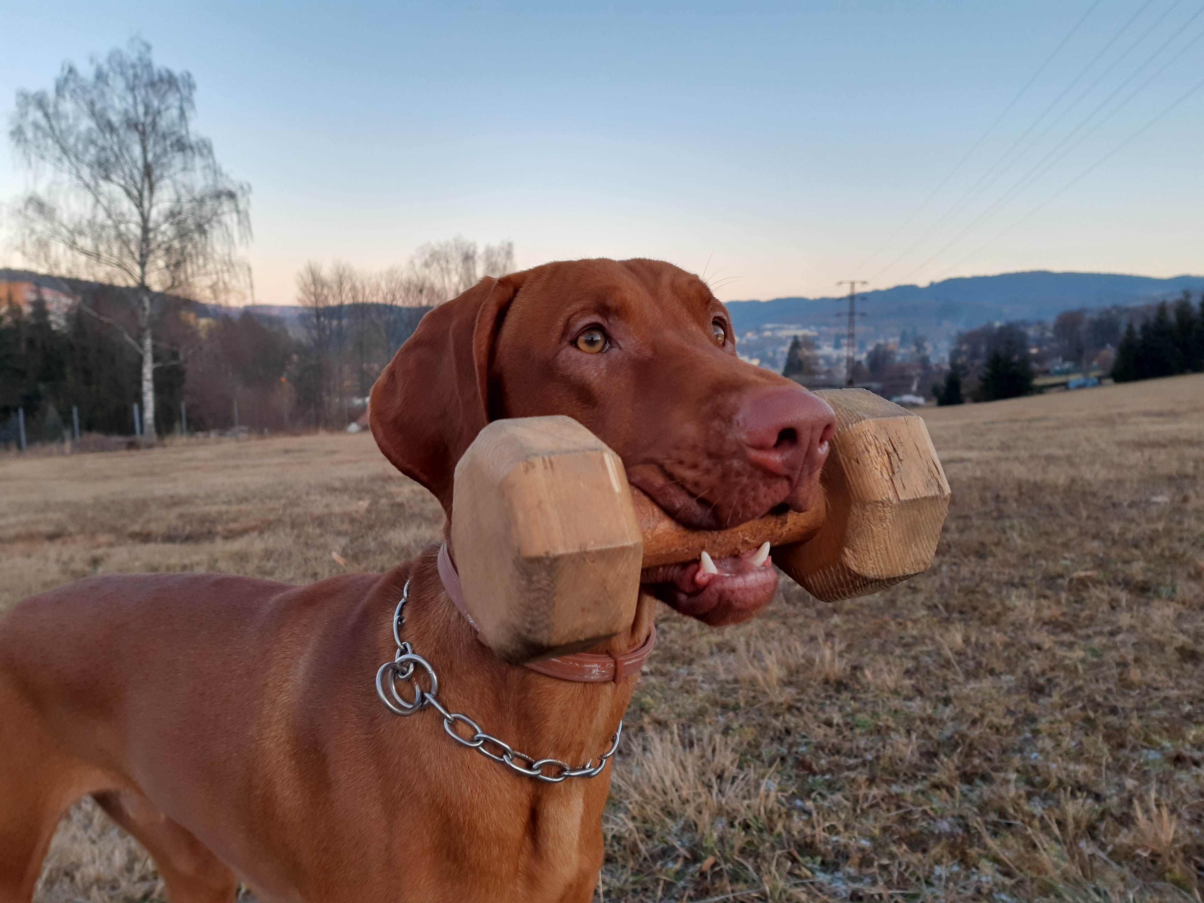 IMG_20191229_155739943_HDR